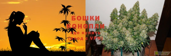 каннабис Арсеньев