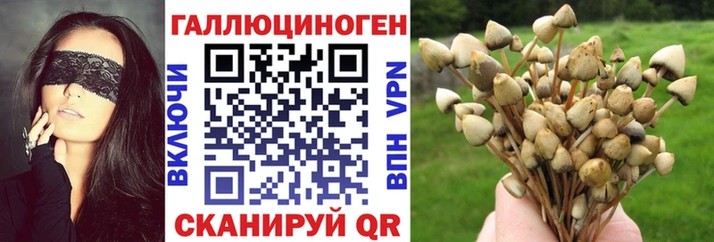 Купить закладки  Стерлитамак  Псилоцибиновые грибы мухоморы 